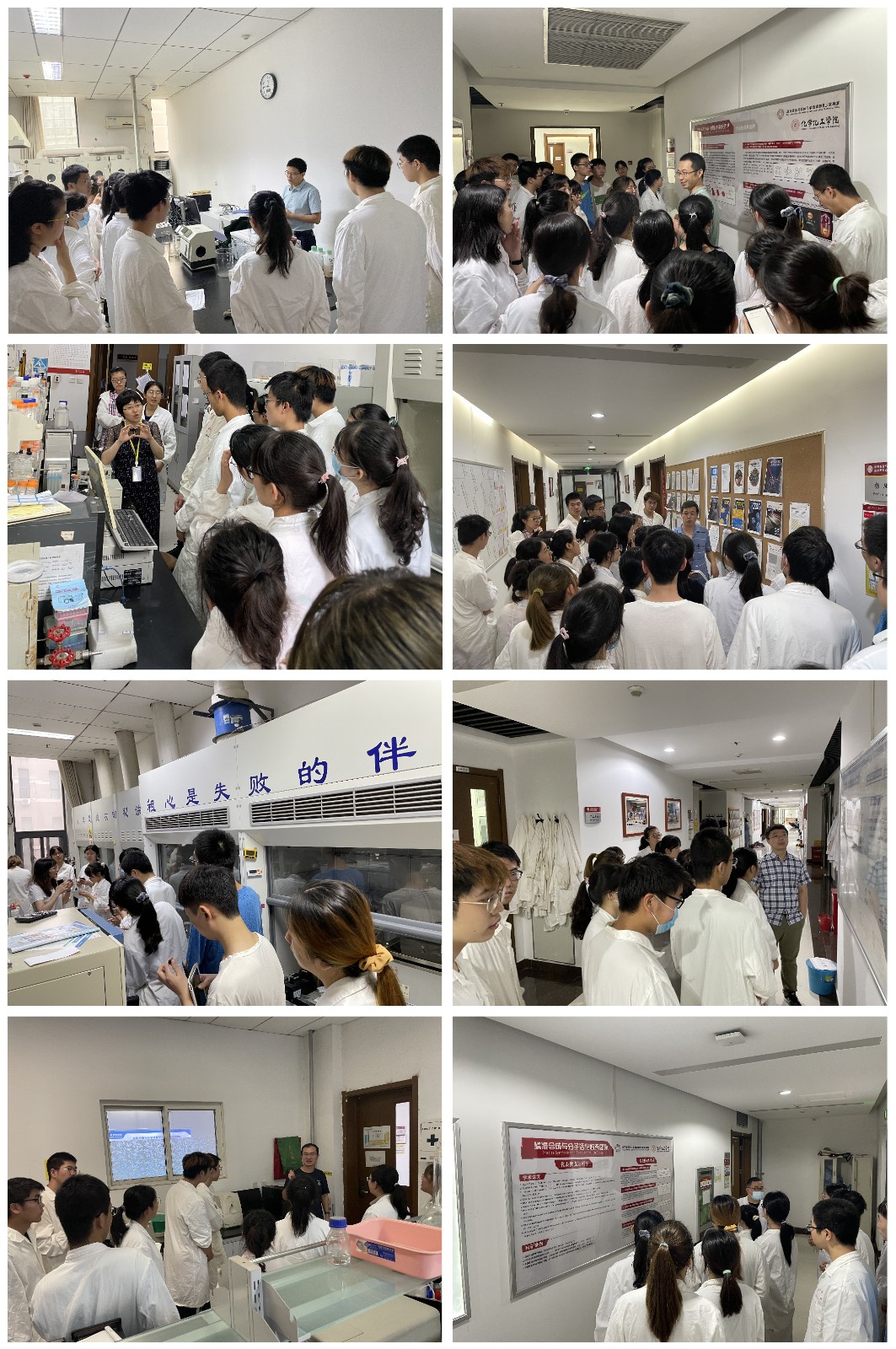 5.实验室轮转见习.jpg 5.实验室轮转见习.jpg