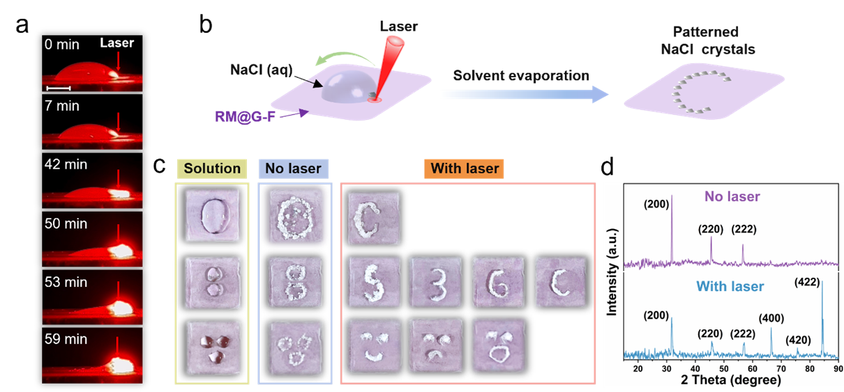 图形用户界面 AI 生成的内容可能不正确。
